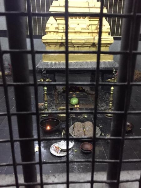 File:20200305 Photo 64 1xRJNgxjiwCnKdXsv2vXrII2oanoCYRXB.jpg