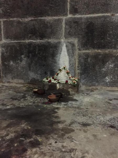 File:20200305 Photo 65 1l2z0ITFABn hom81--unQbRu1ENDnyuA.jpg