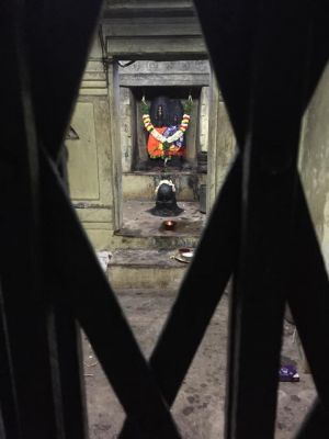 20200305 Photo 66 12aUwQ5qliHdF5M IudNacSZgu4eGSnJZ.jpg