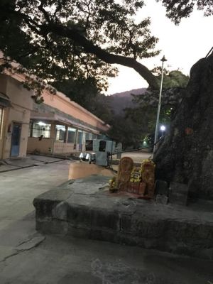 20200305 Photo 69 1mwpRIlwbFQEWsbLMF-qvhwBiIpEBIQZJ.jpg