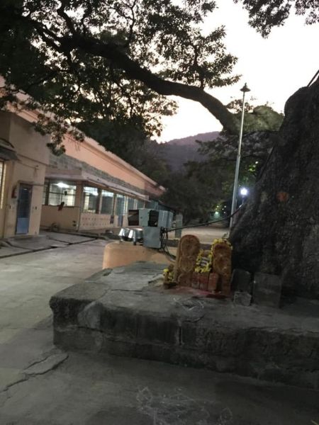 File:20200305 Photo 69 1mwpRIlwbFQEWsbLMF-qvhwBiIpEBIQZJ.jpg