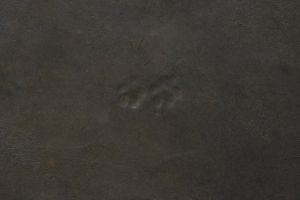 20200306 Photo 21 1Olsa9n7ESOxON1ks1OtFCAGOaP0XpwKz.jpg