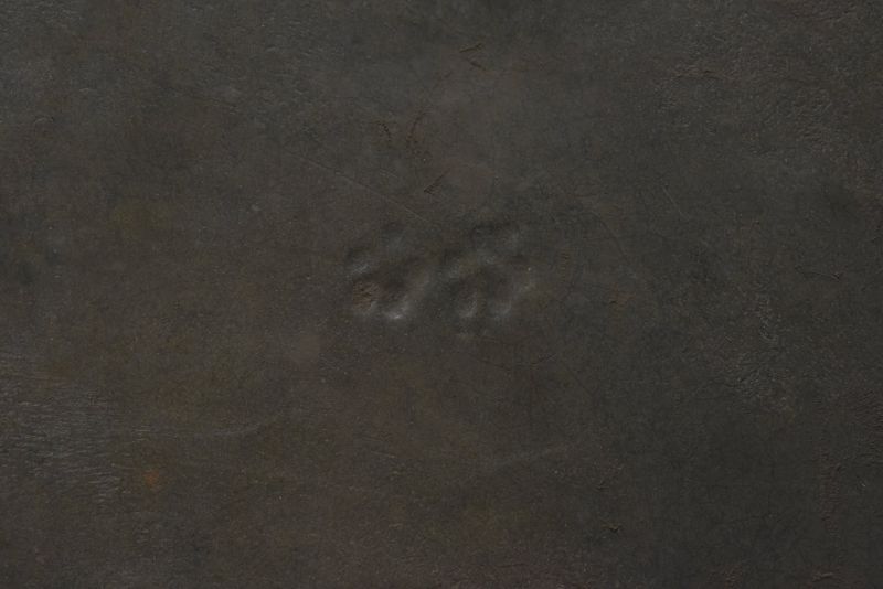 File:20200306 Photo 21 1Olsa9n7ESOxON1ks1OtFCAGOaP0XpwKz.jpg