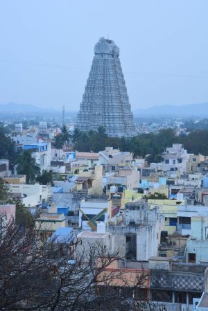 20200306 Photo 71 1izpxse Td2Yq9NKByAv9yC7jER8xUEnl.jpg