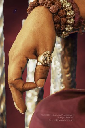 20200307 Photo 1018 1UuL8SBy8e2XcC8SbHxPdYdlzPFn3K1P0.JPG