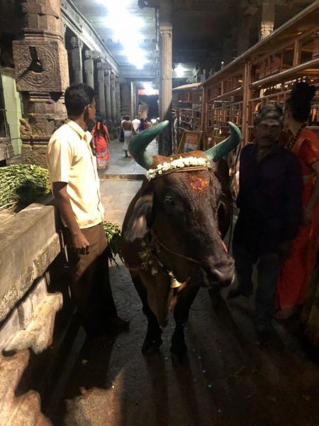 File:20200308 Photo 33 1VWWelp1nwJgad-dtj21-ZgfmKzQZAL5X.jpg