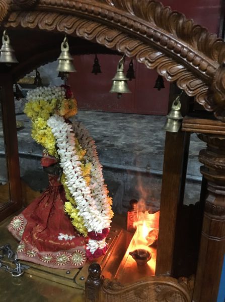 File:20200308 Photo 45 1yY8KtKM8LdYlX3DDHzDi19VFUh4VN6LH.jpg