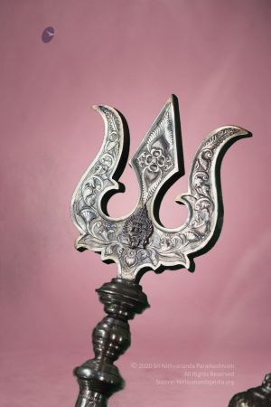 20200310 Photo 1015 1yeXnlQr3i5QGrwHRb1Bw 5xRLuFuefs1.JPG