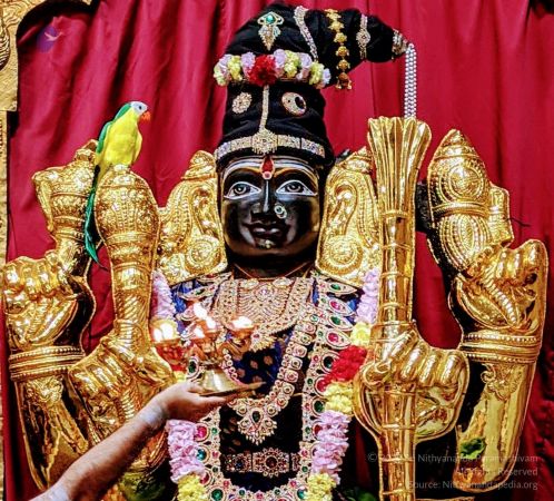 20200313 Photo 1036 1lWGzUtcc8KI3Cz33CROGD1d09lmA4WMw.JPG