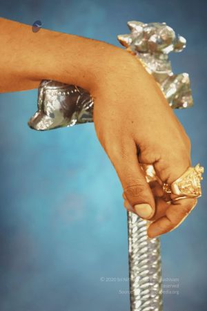 20200313 Photo 1039 1JrY2JFneUfNBJsgo3xcSExA1C43nESne.JPG