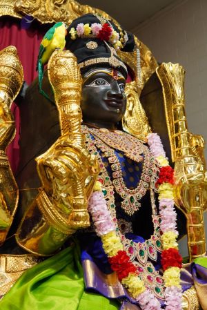 20200313 Photo 1040 1l2NWY 36Uus-UclSINEY1Rw wW1ievxc.JPG