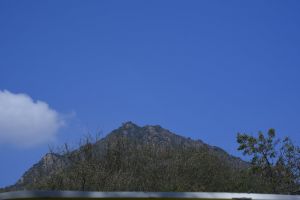 20200313 Photo 29 18-FlVHlEzV9H0uqEtNHBMaUKP2sf5Tt-.jpg