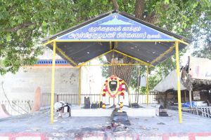 20200313 Photo 57 16JHjQIHIEBVyX7Rwkz2o91QIFaKrd3KI.jpg