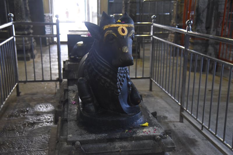 File:20200313 Photo 70 1QGtMcc4R 9mRcHXZUBCRBfGwe7An6xi .jpg