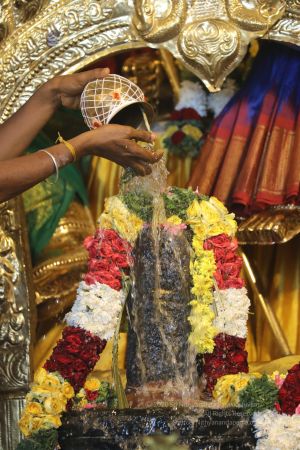 20200316 Photo 1005 1sfMxt43RbHGOmCIAwjoMG7-CXmY0o5sF.JPG