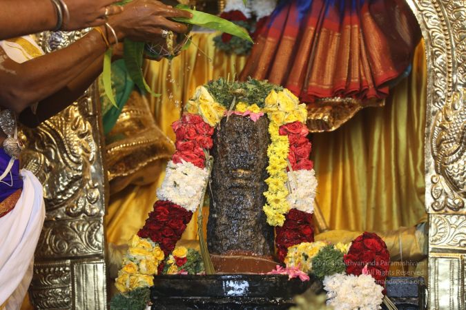 20200316 Photo 1007 1WlwaziSPUzdZDjq-MKTE hNjHycqQjcw.JPG