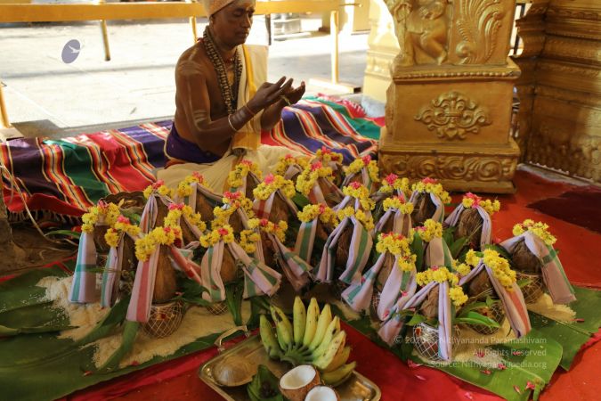 20200316 Photo 1011 12bjLcVF90vZQ64iCzN8H1-zJIHuGm49J.JPG