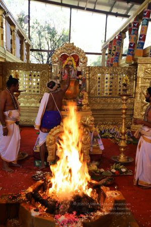 20200316 Photo 1012 1 5R9wnLXICZzh1u-L6cfwxpSgLMXozWs.JPG