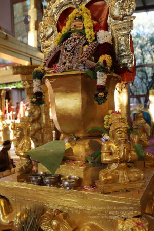 20200316 Photo 1016 1nVrUEXUGvKT 60l0 Tdm3YgLL7ghT4sU.JPG