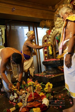 20200316 Photo 1026 1QpfIv1KX5XMRiH2Gm9doWMIRVGpuv0w1.JPG