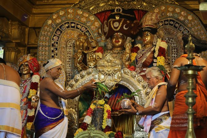 20200316 Photo 1040 1JAHbU1Dh10wzcbMJK2GGmEDPwOSKCgq2.JPG