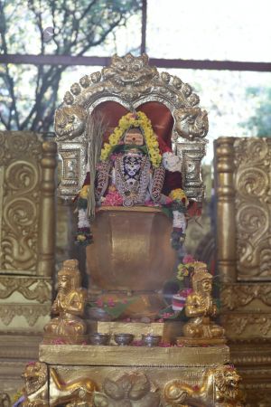 20200316 Photo 1044 1jE5Y9a3VVITRRVcnDowzeazyvKSuHZnB.JPG