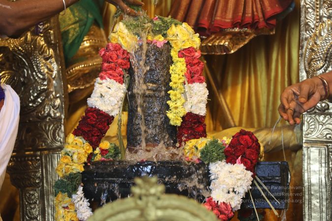 20200316 Photo 1053 17p2z2Smdipp ANsSU2oR5nJViA8Dm6jK.JPG