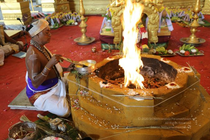 20200316 Photo 1064 1qBevEF8p2qAdp4wgjjZO4WjyOaUanMe6.JPG