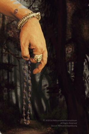 20200320 Photo 1001 1N59h1AYCpRO 56qLDEy-HHKBeQnmr-0Y.JPG