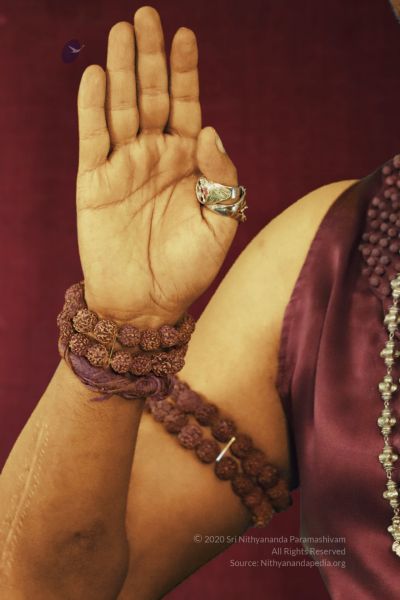 File:20200321 Photo 1 1EEMAeY7l RMEkq9HWDN9Yt8Lq4JYRj7G.jpg