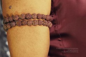 20200321 Photo 7 10w7-zn2IHinfnIQLrNnMtfX5JoTZTuKy.jpg