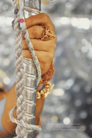 20200323 Photo 1028 1ZlcYffxrDq1T80chnzZBHr0sn8kwcElm.JPG