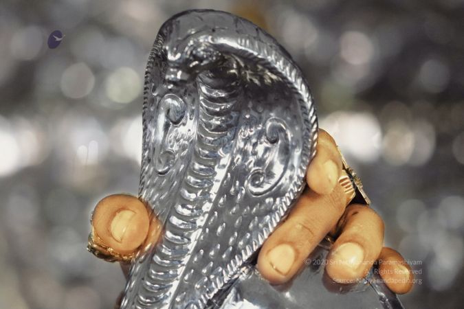 20200324 Photo 1021 11DZfH--nGInwaLvUEJmArx7ZNwqppcwM.JPG