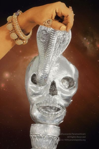 File:20200325 Photo 5 1sFMX2NJw3XImP1bL7pJ8G9TSOODHPDG3.jpg