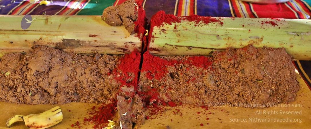 20200326 Photo 1007 1 0vWdSwe6W3GXjG3kg g0Q1YKlGt3KAX.JPG