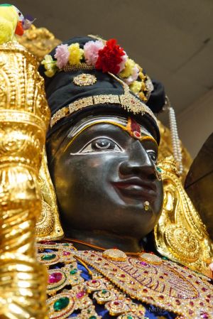 20200326 Photo 1012 1BUHFZzY7vItr1IeXuy3-Sjem5e2nz2S0.JPG