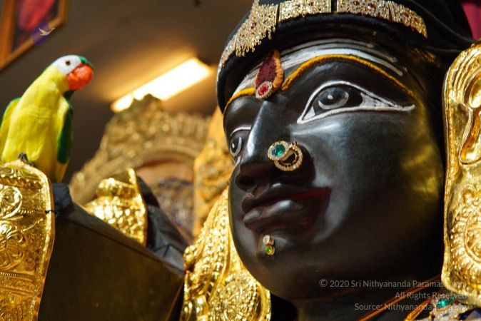 20200326 Photo 1049 10iBb9foe8n9w4WWdpXFyq17Bt2tPorl .JPG