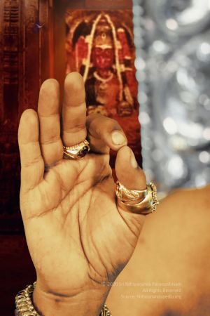 20200411 Photo 1041 1OaaFSYNi-jd1f7RPcfAjwPYMmy4XWtb-.JPG