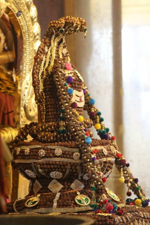 20200426 Photo 1007 1whw1uRG8pD7Rtrw-Wtwr1vbeKzUKgwLD.JPG