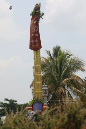 20200426 Photo 1019 1F7s5SbIWNFg2hNjlyEHtJbeYgnW5e9Or.JPG