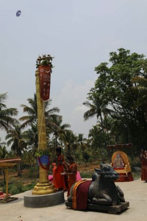 20200426 Photo 1043 141m9eVfcrRNtpklFywkvkyGqI2WmxIJQ.JPG