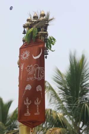 20200426 Photo 1049 1bzYW15aGOBCTphJY4hFCp4nkJYN-bLmZ.JPG