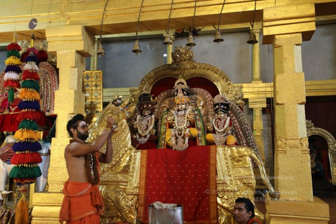 20200427 Photo 1006 1JnJBXwM7-dGLpHa6C fd04oDsAzGS1ZK.JPG