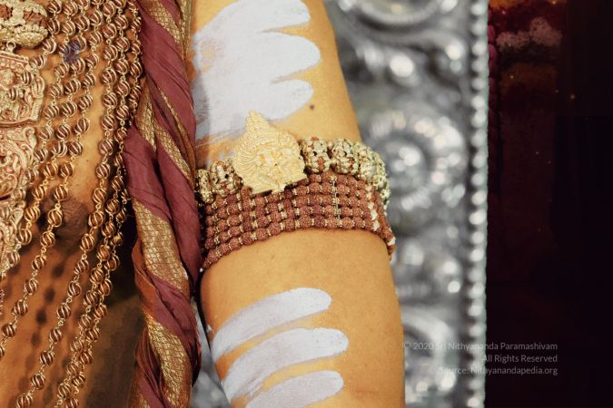 20200429 Photo 1021 1CvkaxwtgETK-x0UcEywOT-EHov0hBoCR.JPG