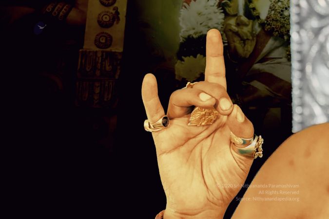 20200430 Photo 1031 188kDCojWXfBYOxqitKQP SPyXajcRe4D.JPG