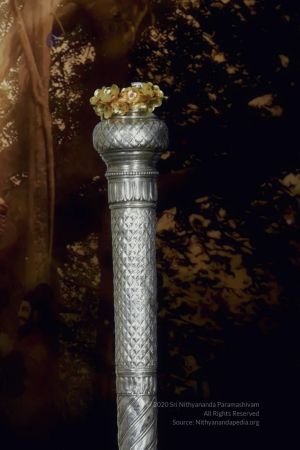 20200514 Photo 1002 165a7xFgM9qNNktlFDaXH-MBY7uEdMcTa.JPG