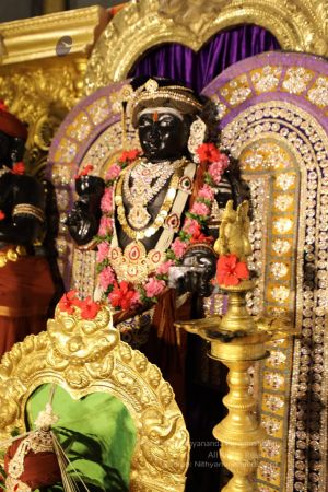 20200606 Photo 1002 1QWcZUUTwpOumRD08Yk4crK6s-1VkdCOD.JPG