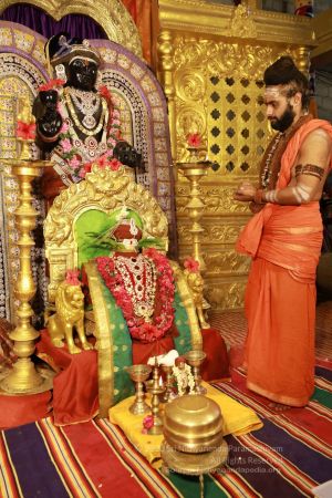 20200606 Photo 1003 1b2srZfWOeR0pw8hcNzRGS-TeoOvVciYk.JPG