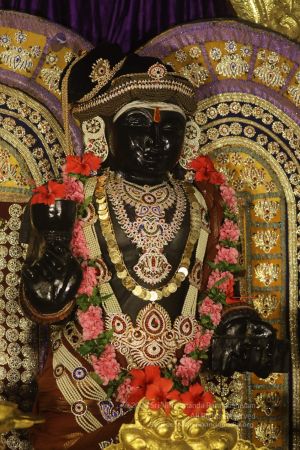 20200606 Photo 1028 190DEkC5kVWqc0HTvhMbHZC1xlbGMKvwC.JPG