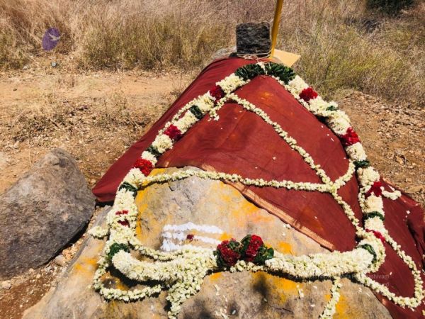 20200606 Photo 1035 1gQWFvFv6-L10F0fXhSb UH5f-nKEXHtK.JPG